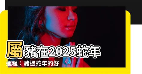 蛇皮好運|【2025蛇年開運攻略】點光明燈、安太歲燈，掌握財位禁忌，好。